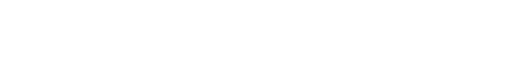 Rizzo Litigation Support Group PLLC, Attorney Per Diem and Legal Services
